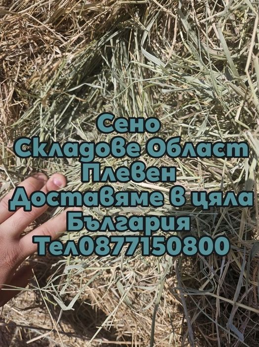 Сено и люцерна големи ролки 600кг