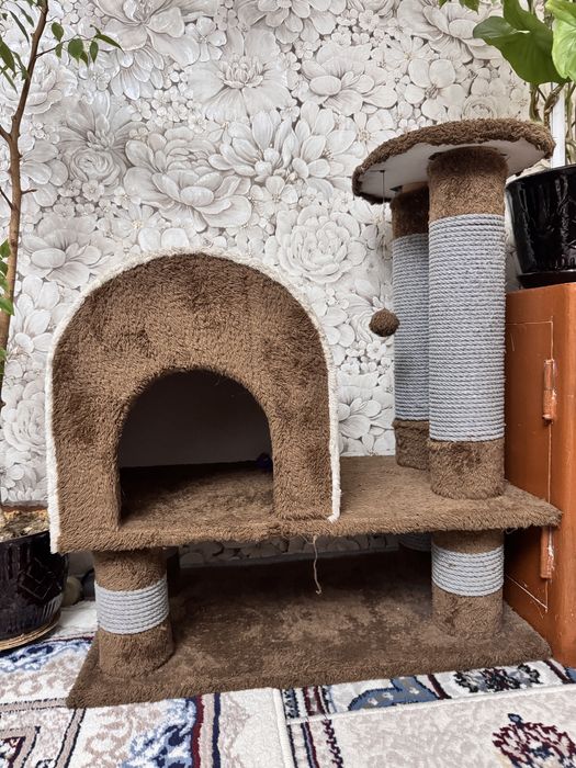 Домик для кошек и котов в хорошем состоянии!