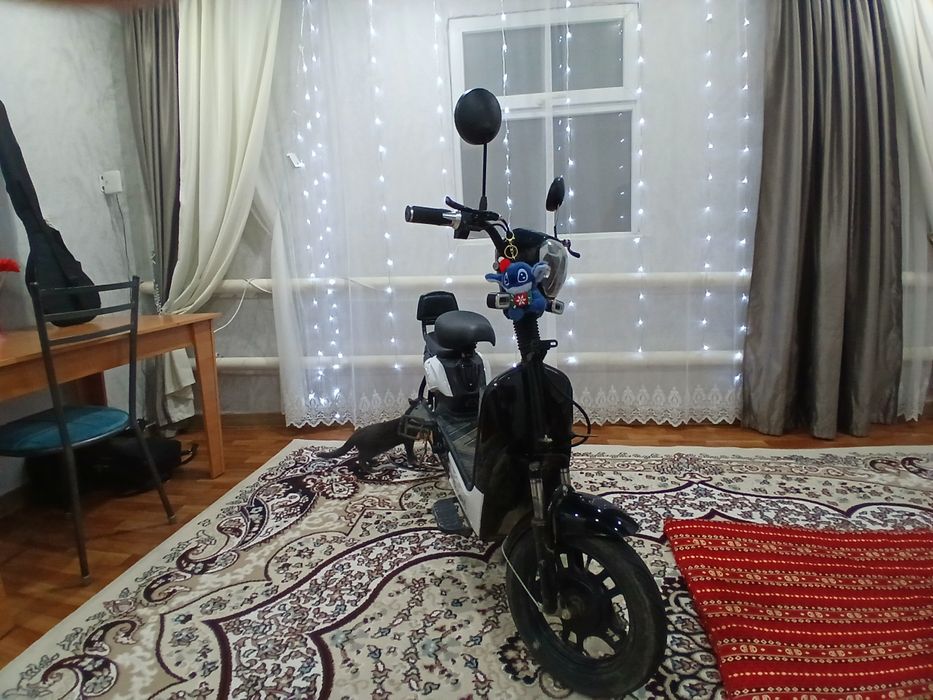 Скутер леопард 2025