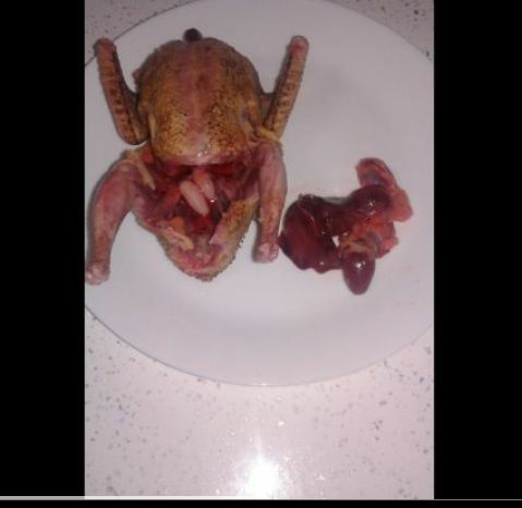 Porumbei pt gatit eviscerati