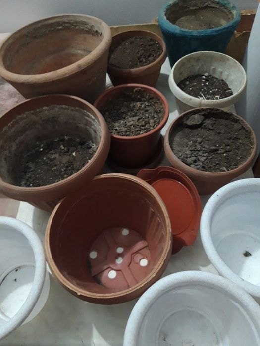 продам горшки для цветов