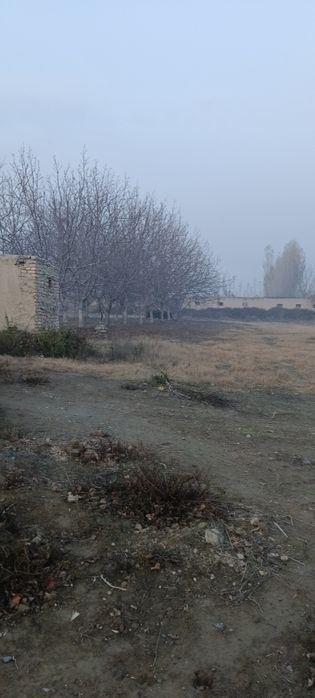 Noturar yer sotiladi