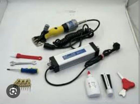 Qõy yungini olish xizmati