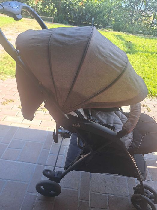 Лятна киличка  Can curvi