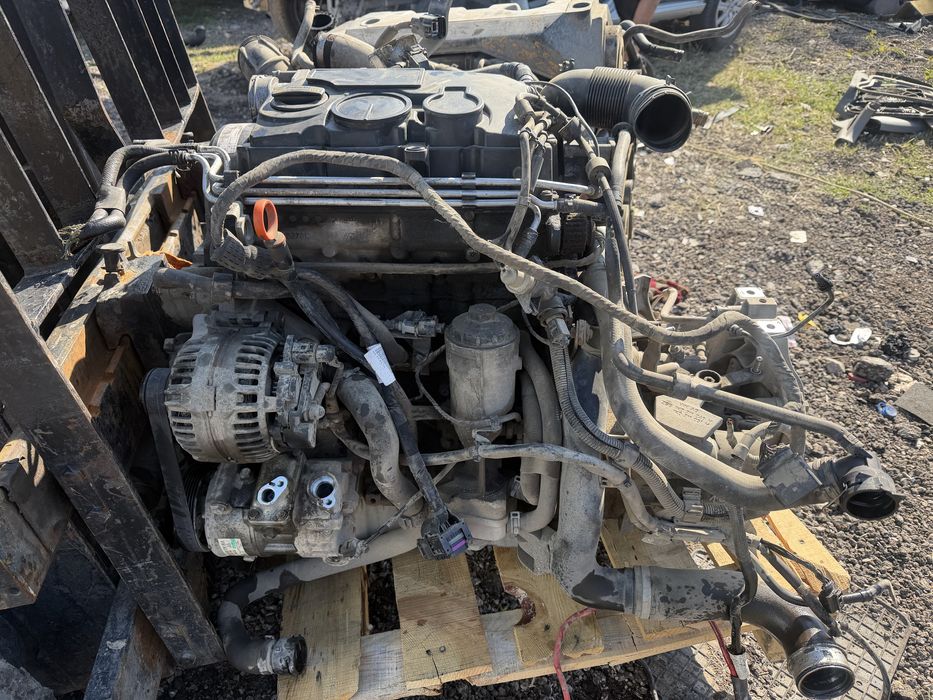 VW CADY  оборудван двигатвл 1.9 105 кс 2008 Г КОД BLS