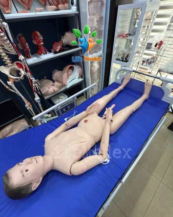 Манекен для Медсестринских Навыков