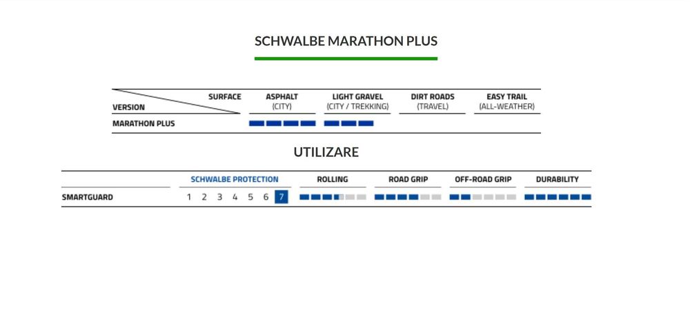SET 2x SCHWALBE Marathon Plus - 26x1.00 (25-590) HS440 B/B 2Grip NMC