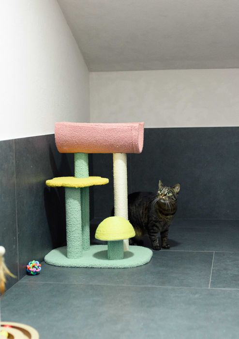 Hotel pentru animale/Pensiune canincă/ Cazare pentru caini