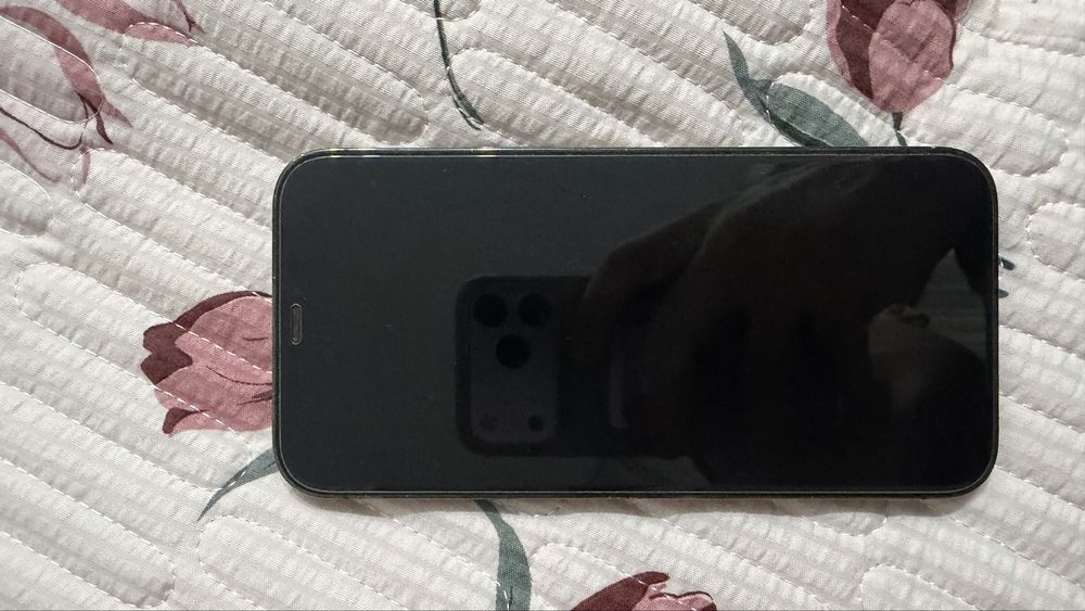 Iphone 12pro max