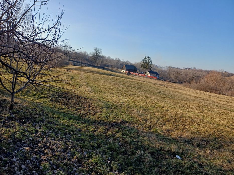 Proprietate 7400 mp, Mazanaesti(Suceava),casă renovata partial