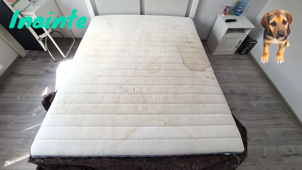 % Curatare Profesionala Canapele& Saltele