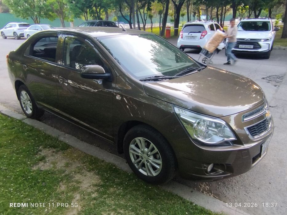 Other Cobalt 2023 — 3