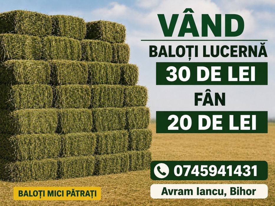 De vânzare  baloți