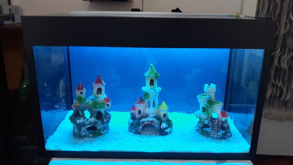 АКВА СЕРВИС Изготовление и ремонт аквариума обслуживание и другие усл