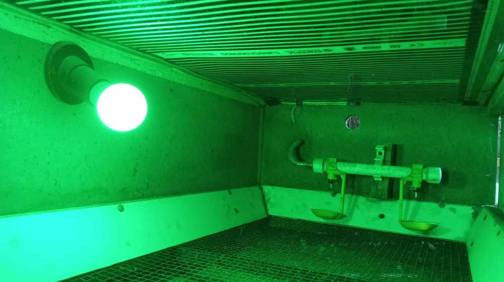 Bruder. Брудер для циплят, перепелят