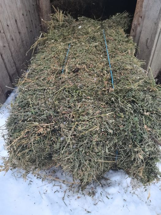 Baloți de lucernă dreptunghiulari