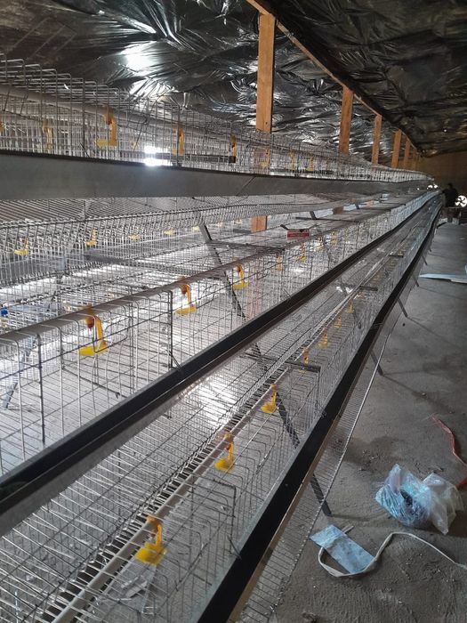 Клетки для кур нисушки продам.