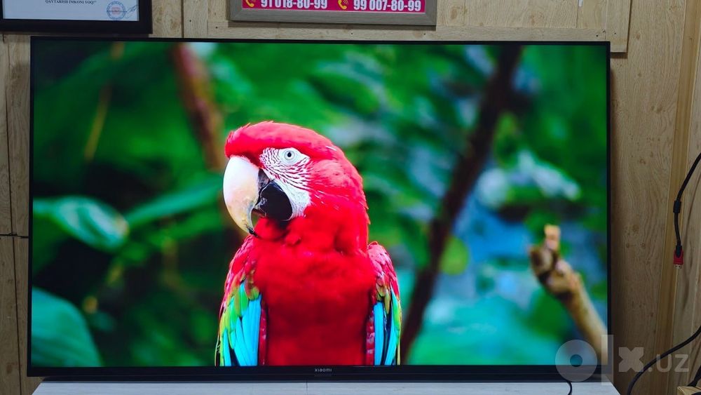 Телевизор Samsung Smart TV 32`43`55`65`75 Televizor Смарт Телвизор