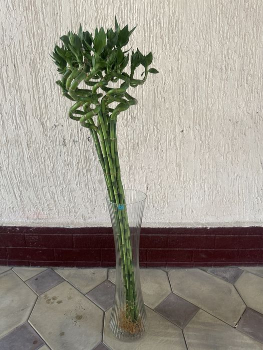 Ваза для бамбука разных размер