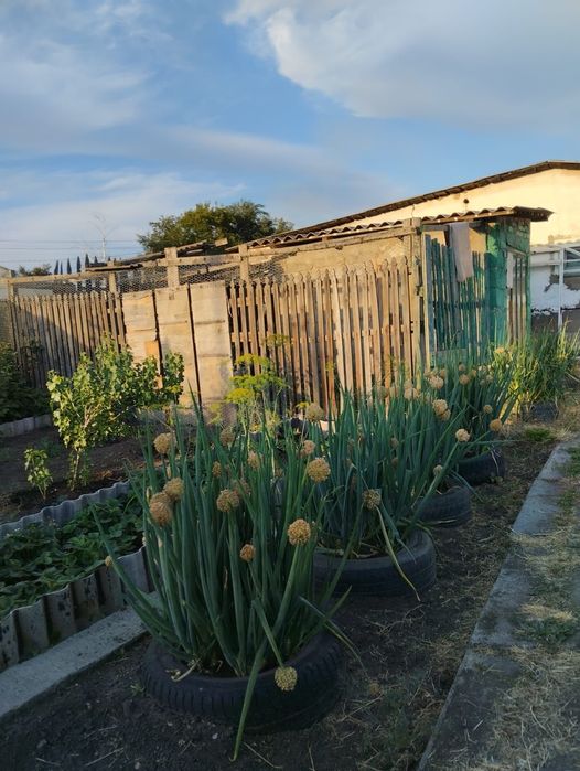 Продам или обмен Дома