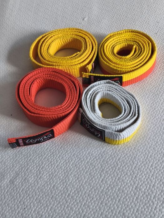 Centuri karate copii