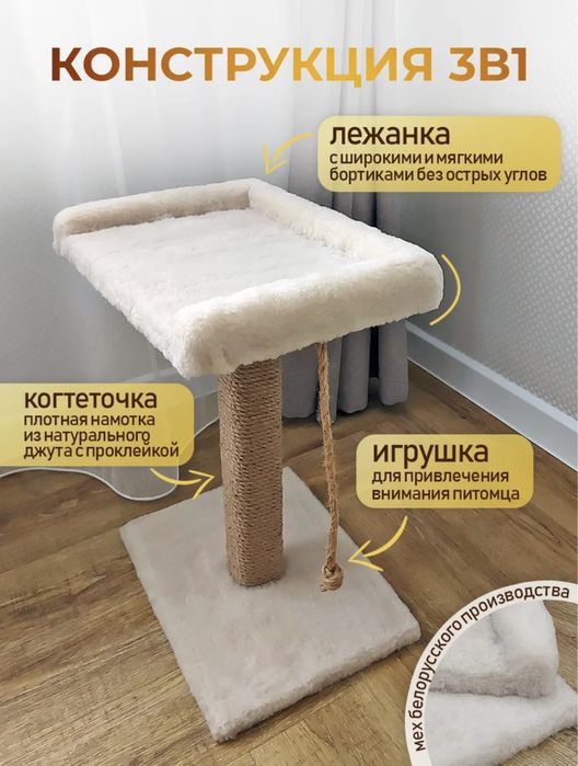 Когтеточка для кошки