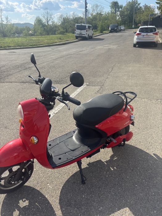 Scutet electric VOLTA VS2 cu/fara permis