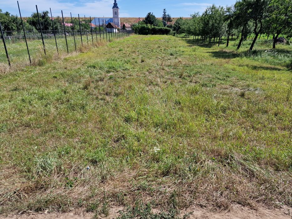 Teren intravilan de vânzare Uileacu de criș