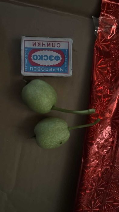 Зеленый грецкий орех