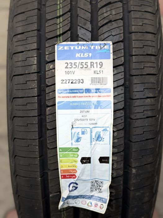 r19 zetum korea  champion/equinox