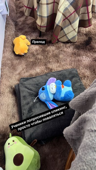 Языковая студия Mandarinika