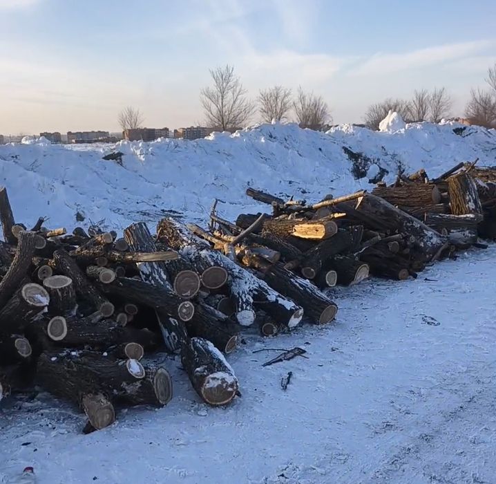 Дрова бесплатно самовывоз