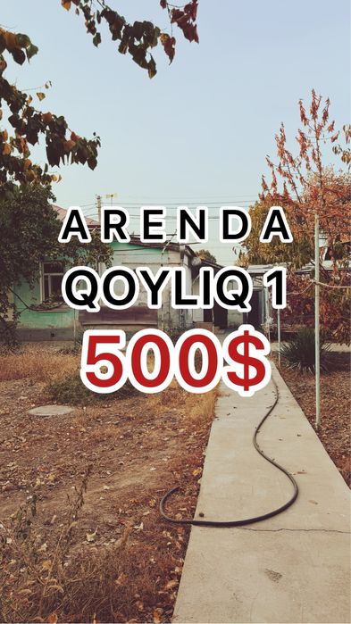 Arendaga uchaska hamma sharoitlari bor