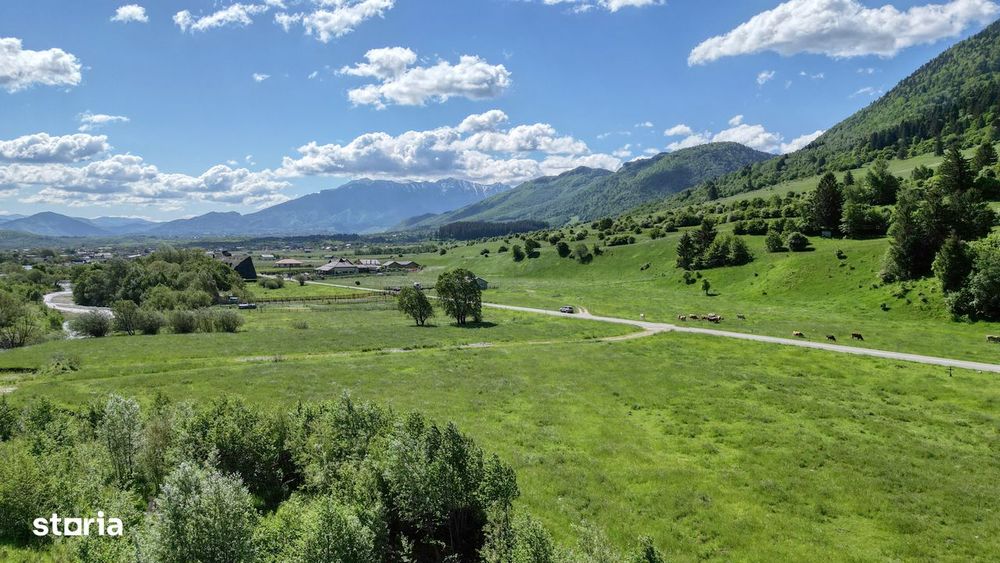 Teren intravilan In Zarnesti zona Plaiul Foii, asfalt si priveliste