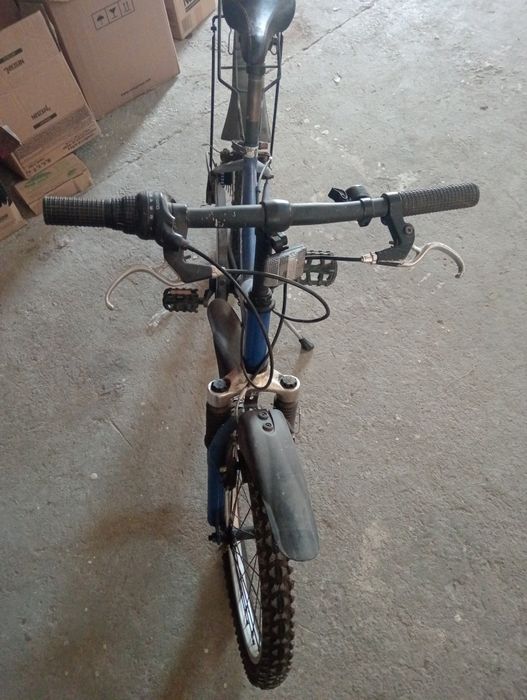 Bicicleta Speedy crosswave