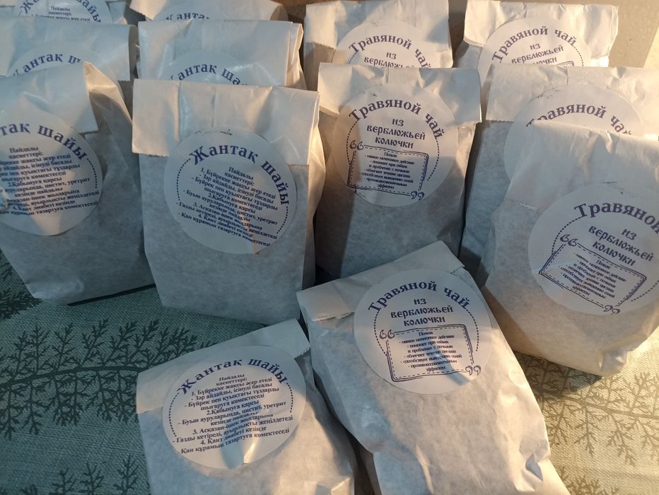 Верблюжья колючка. (Жантақ)