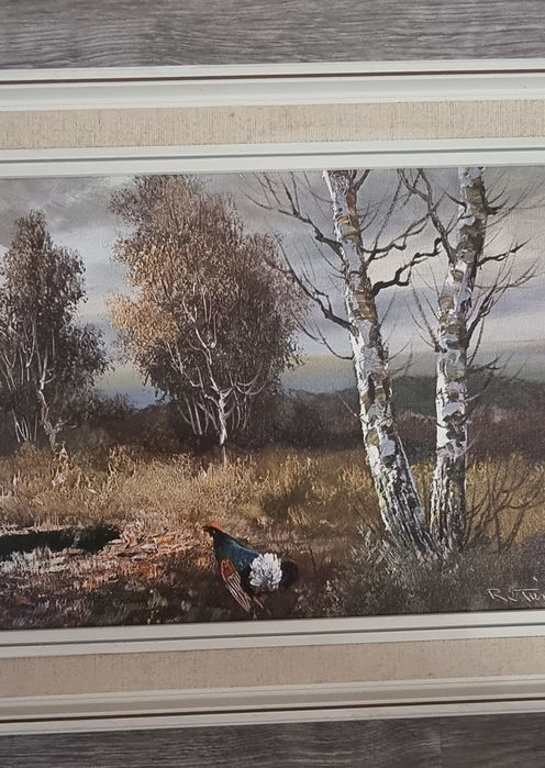 Красиви  картини