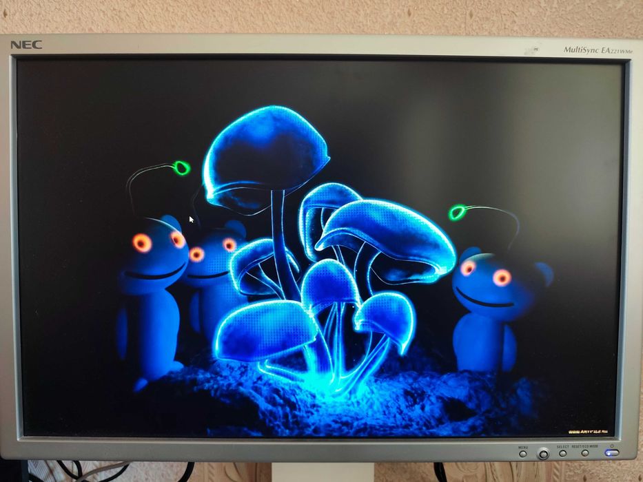 Монитор NEC MultiSync EA221WMe 22"
