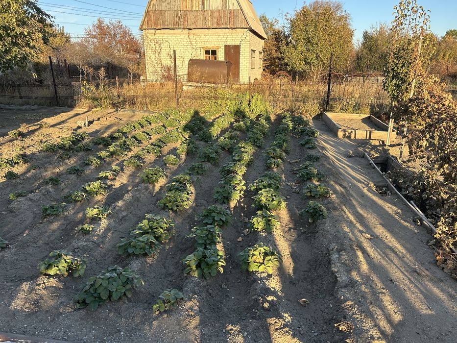 Продам дачный дом с участком