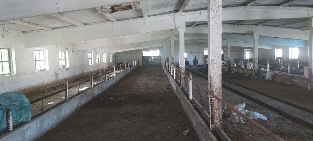 Нотурар жой. Молхона