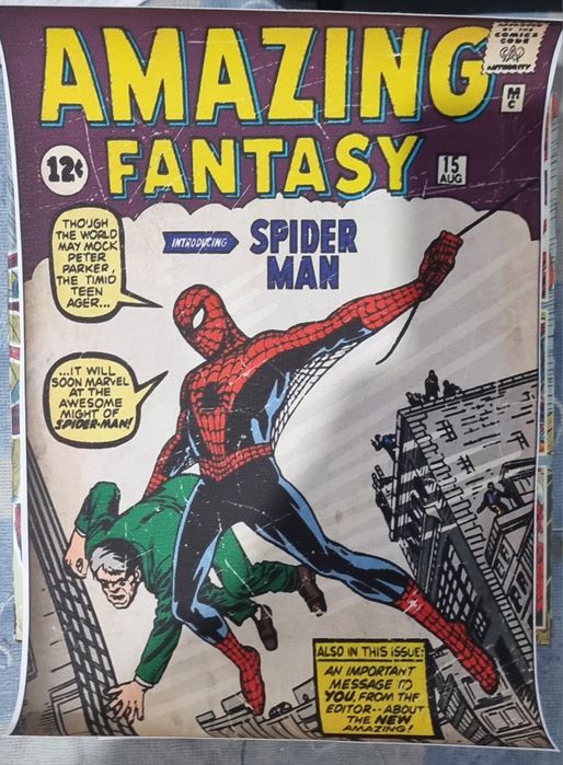 Postere Pe Panza Super Eroi Marvel. Fara Rama 30 x 20 Cm
