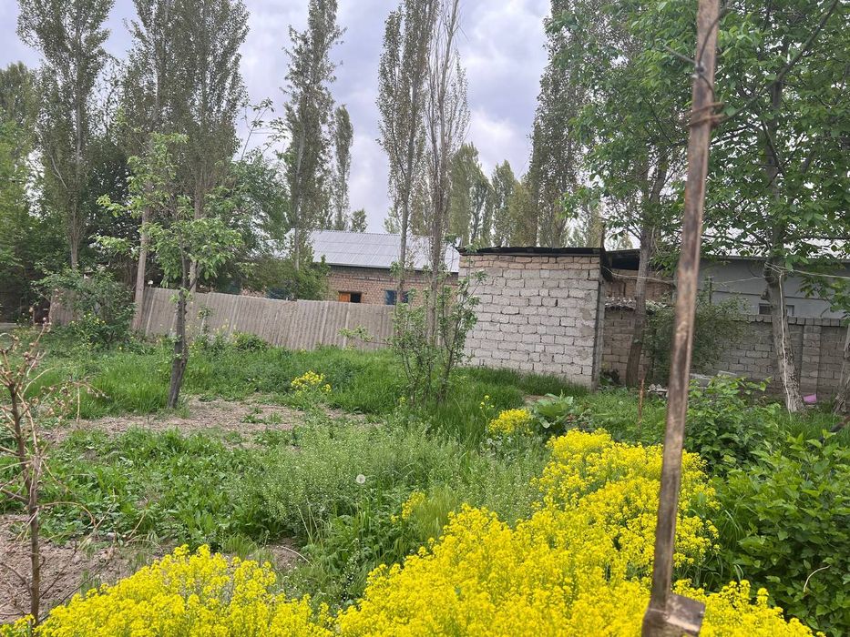 Курук ер сотилади,ер,земля,участка,Янгибазар