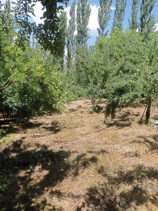 10 соток ер сотилади