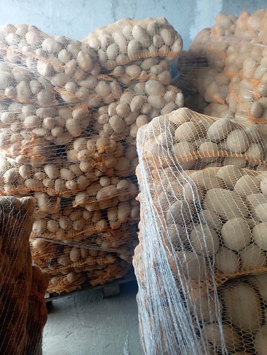 Cartofi de vânzare .Clasa 1