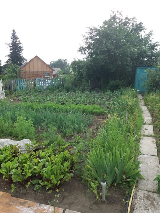 Дача в Иртшском строителе