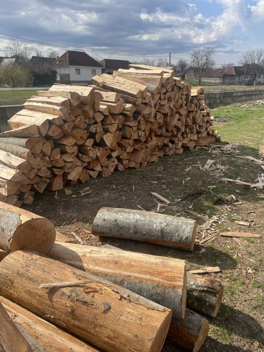 Vindem lemne de foc esențe tarii transportul gratuit