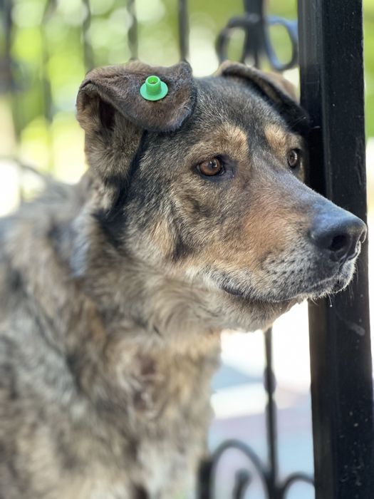 Гайда. Классная девочка. Для семьи. Рожать не будет.