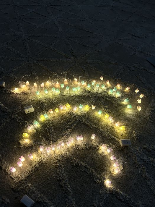 3D светильник тюльпаны