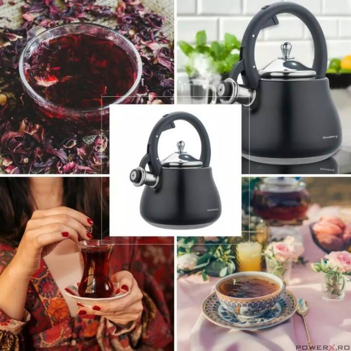 Ceainic, fierbator cu fluier, otel inoxidabil, negru cu elemente