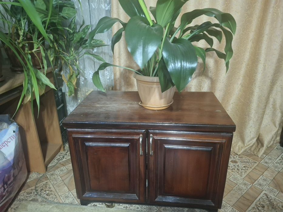 Горка для гостиной